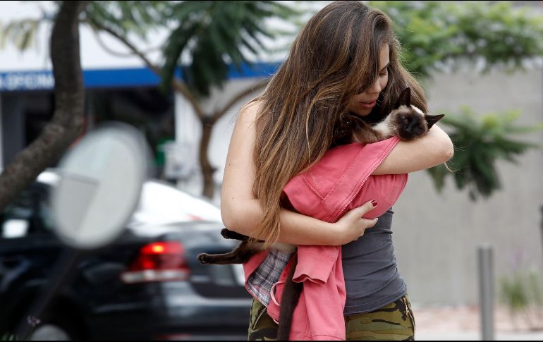 El Código Penal de Jalisco fue reformado para que los delitos cometidos contra animales también reciban un castigo ejemplar. EL INFORMADOR/A. Camacho