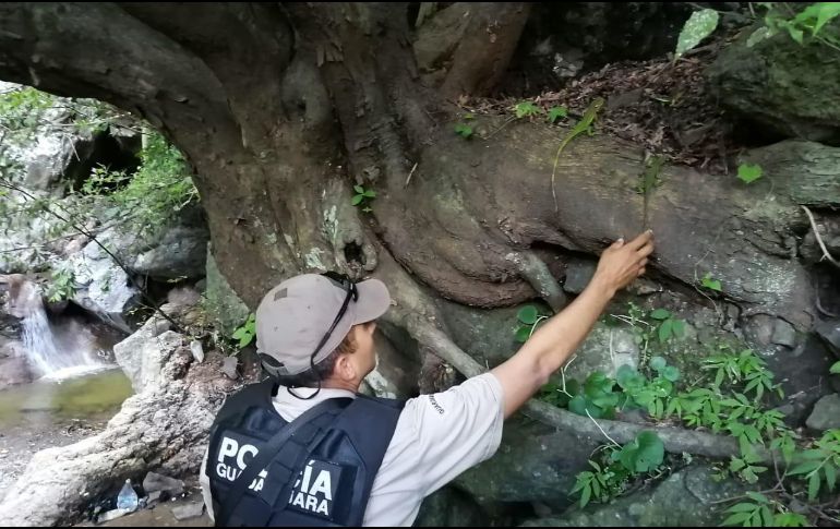 ESPECIAL / Policía de Guadalajara