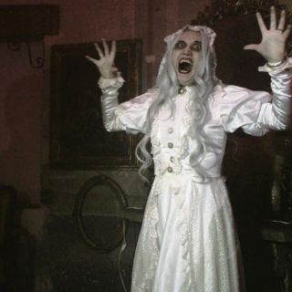 El misterio toma el Palacio de las Vacas