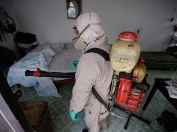 EL INFORMADOR/ Archivo