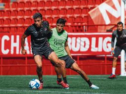 El conjunto de Tijuana buscará una victoria que lo saque de los últimos lugares. @xolos