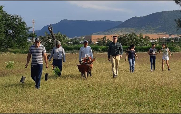 En la zona se plantaron árboles de  guamúchil, arrayán, huizache, mezquite, cedro blanco y galeana. ESPECIAL