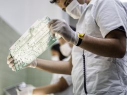 Firmas como Google, Apple, Dell, Nintendo, Crocs y GoPro buscan nuevas economías para mudar su capacidad fabril. EL INFORMADOR/Archivo