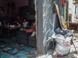 Petersen señala que las fumigaciones en espacios comunes en estas colonias se están haciendo en horario de 6:00 a 8:00 horas de la mañana y de 7:00 a 11:00 horas de la noche. EL INFORMADOR / G. Gallo