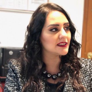 En el "limbo" nuevo Consejo de Participación Ciudadana y Gobernanza