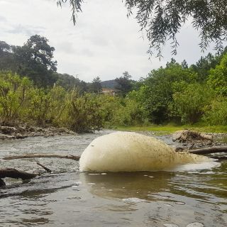 Contaminan río turístico en Bosque La Primavera
