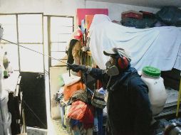 Se han recolectado más de mil 400 metros cúbicos de cacharros. EL INFORMADOR / R. Bobadilla