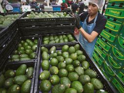 Víctor Villalobos, titular de la Sader, afirma que será suficiente para cubrir las necesidades del campo. ARCHIVO / EFE