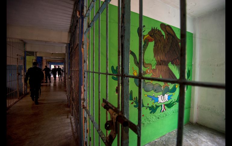 Un escudo nacional se ve plasmado en una pared. EFE/ARCHIVO