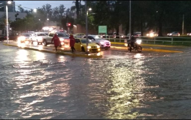 ESPECIAL / Bomberos de Zapopan