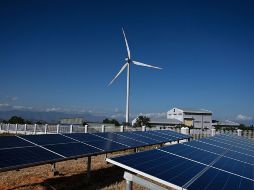 Varias compañías las están utilizando para impulsar sus operaciones comerciales e industriales. AFP / ARCHIVO