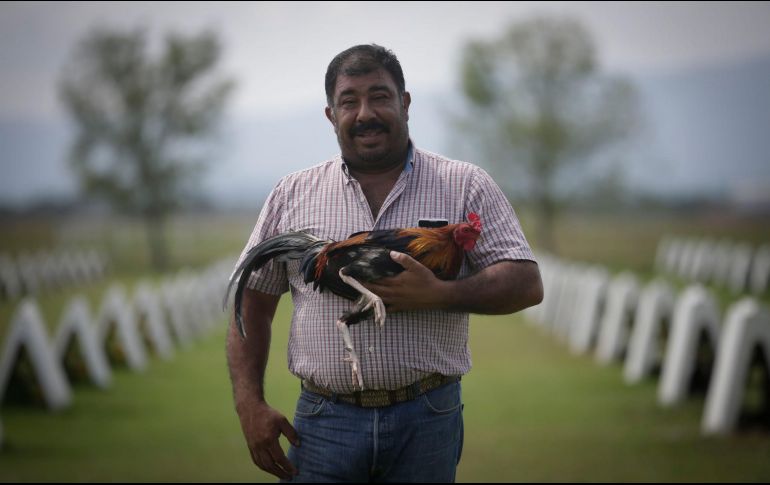 El sector da trabajo a dos millones de personas en todo el país. EL INFORMADOR/F. Atilano