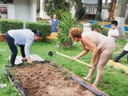 Además de los huertos y muros verdes escolares, el programa incluye capacitaciones sobre separación de residuos sólidos, diagnósticos de ahorro de agua y ahorro de energía. EL INFORMADOR/R. Rivas