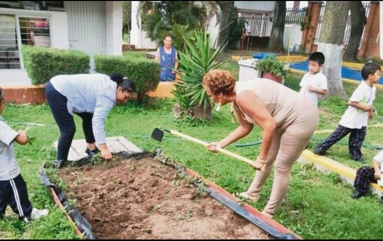 Además de los huertos y muros verdes escolares, el programa incluye capacitaciones sobre separación de residuos sólidos, diagnósticos de ahorro de agua y ahorro de energía. EL INFORMADOR/R. Rivas