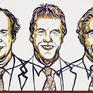 El Nobel de Medicina 2019 premia la investigación celular