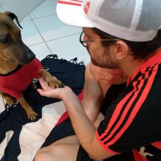 Aficionado rifa boletos para pagar quimioterapias de su perro