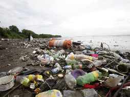 Los análisis detectaron que mucho del plástico hallado en los peces proviene de cintas de celofán y envoltorios. EFE/ ARCHIVO
