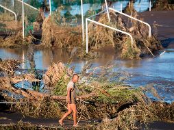 Un hombre recorre la zona afectada por la crecida del río Tamagawa, en donde se aprecian varios árboles caídos. AFP/O. Andersen