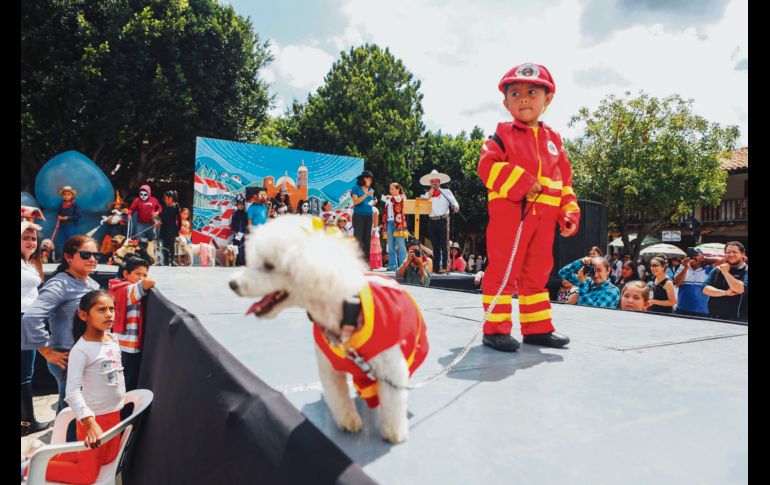 Perrito ganador del concurso de disfraces. EL INFORMADOR / G. Gallo