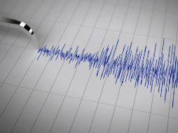 El temblor se sintió en varias localidades, reportan medios locales. ESPECIAL