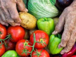 Los campesinos producen 80% de la comida en el mundo en desarrollo. A pesar de ello, son los más propensos a sufrir hambre. GETTY IMAGES