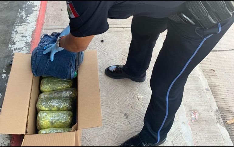 Lo asegurado fue puesto a disposición del representante público federal, quien continúa con la integración de la carpeta de investigación. ESPECIAL/