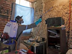 También resaltó que el uso de estos insecticidas no fue el motivo de los brotes de dengue en el estado. SUN / ARCHIVO