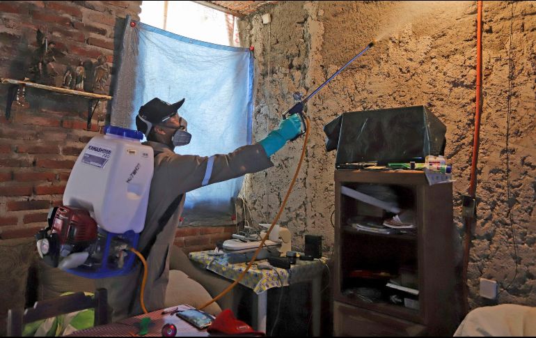 Hasta el momento, se han registrado cinco mil 704 casos de dengue en lo que va del año. SUN / ARCHIVO