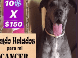 La familia de Lancer no se sentía cómoda recibiendo donaciones, por lo que decidió vender helados. TWITTER / @Abc_xF