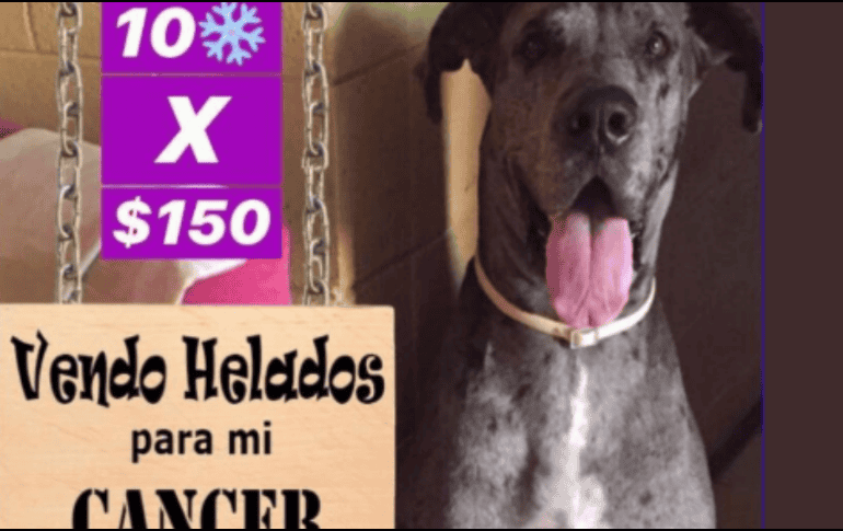 La familia de Lancer no se sentía cómoda recibiendo donaciones, por lo que decidió vender helados. TWITTER / @Abc_xF