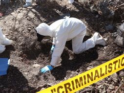 Fueron elementos de investigación de la institución del Distrito Zona Occidente quienes llevaron a cabo el operativo en el área. EFE/ARCHIVO