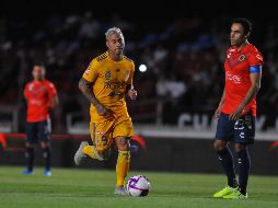 Las acciones de los jugadores de los Tiburones generaron molestia en la afición, mientras que los elementos felinos hicieron su partido. AFP/V. Ruiz