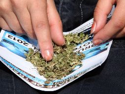 El seminario se enfoca en transmitir las investigaciones que se han realizado en torno a su uso a nivel mundial y está dirigido a profesionistas de la salud, principalmente, para que se capaciten a partir de casos clínicos. EFE/ ARCHIVO