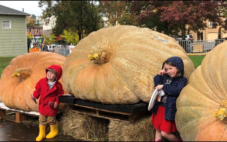 Los concursantes, muchos de ellos disfrazados, remaron frenéticamente sobre las calabazas talladas y convertidas en canoas, algunas de más de 450 kilos. EFE/T. Cidoncha
