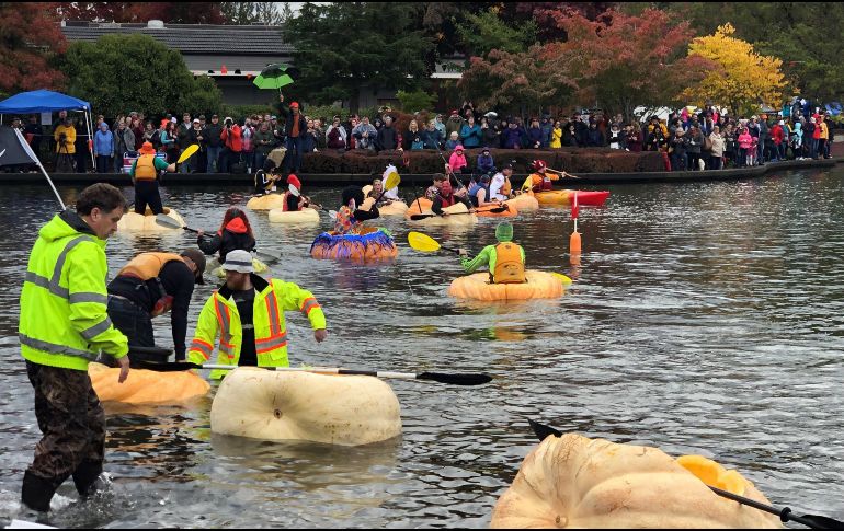 Los concursantes, muchos de ellos disfrazados, remaron frenéticamente sobre las calabazas talladas y convertidas en canoas, algunas de más de 450 kilos. EFE/T. Cidoncha