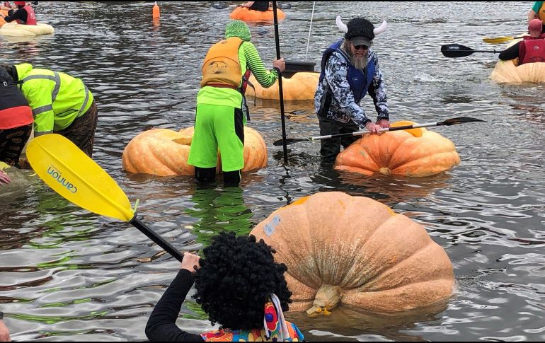 Los concursantes, muchos de ellos disfrazados, remaron frenéticamente sobre las calabazas talladas y convertidas en canoas, algunas de más de 450 kilos. EFE/T. Cidoncha