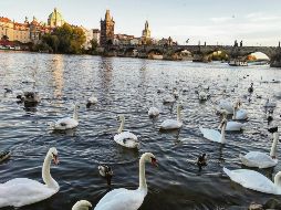 La capital checa es una metrópoli donde dos cosas son seguras: Jamás te deja de sorprender y jamás te dará un momento de soledad. EL INFORMADOR / F. González