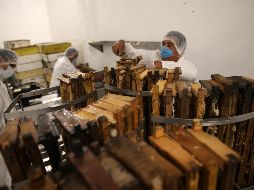 Contra viento y marea, los apicultores de Jalisco trabajan arduamente para ganar terreno a la miel “pirata”, o bien, la que no elaboran las abejas. EL INFORMADOR/Archivo