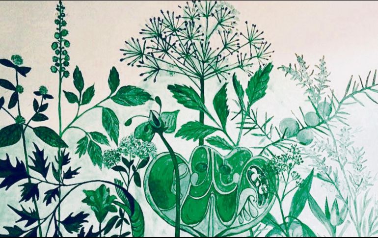 El “ecofeminismo” estará presente en el encuentro. CORTESÍA