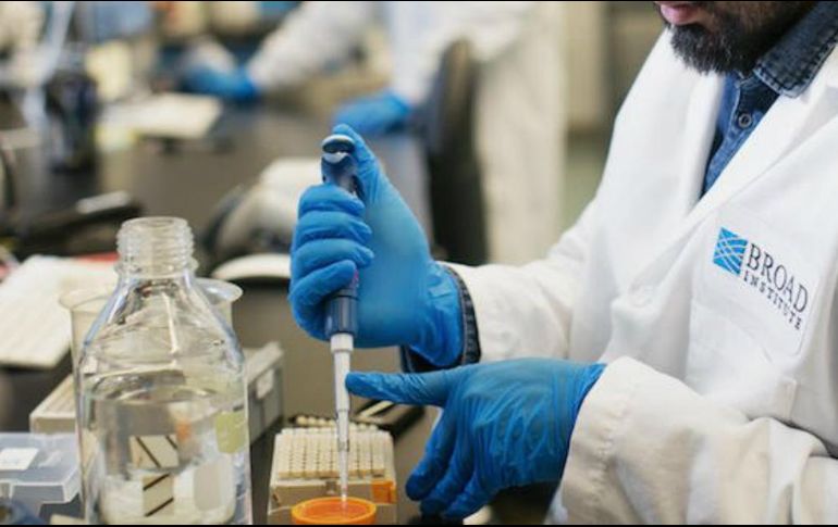 Los expertos señalaron que a pesar de los avances recientes en tecnologías de edición del genoma, la mayoría de las aproximadamente 75 mil variantes humanas que se conocen, no se pueden corregir de manera eficiente. TWITTER / @broadinstitute