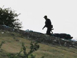 Productores de aguacate se arman contra cárteles