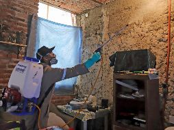 Por otro lado, Petersen Aranguren aseguró que se espera una baja en el número de casos de enfermos de dengue en Jalisco en el siguiente corte epidemiológico que se dará a conocer mañana.  SUN/ ARCHIVO