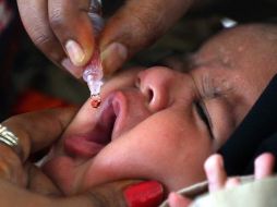 La cepa natural de tipo 1 está activa actualmente sólo en Afganistán y Pakistán, países en los que la población en general es renuente a la vacunación, única vía para prevenir la enfermedad que ataca sobre todo al sistema nervioso. EFE / ARCHIVO