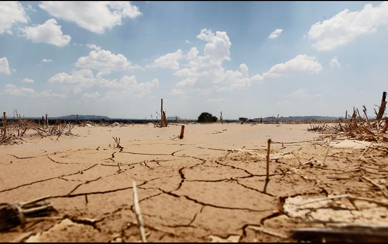 Casi la mitad de afectados no ha tomado medidas significativos contra el cambio climático. ARCHIVO / EL INFORMADOR