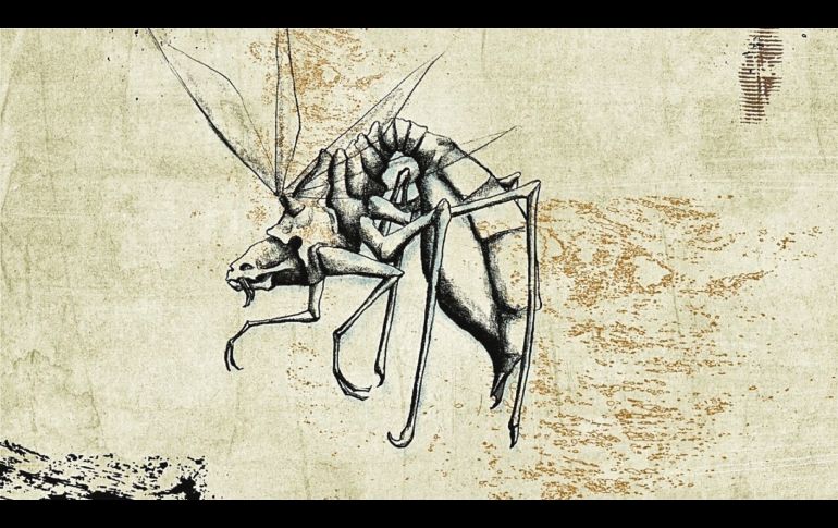 En el ‘Ojo’ del éxito