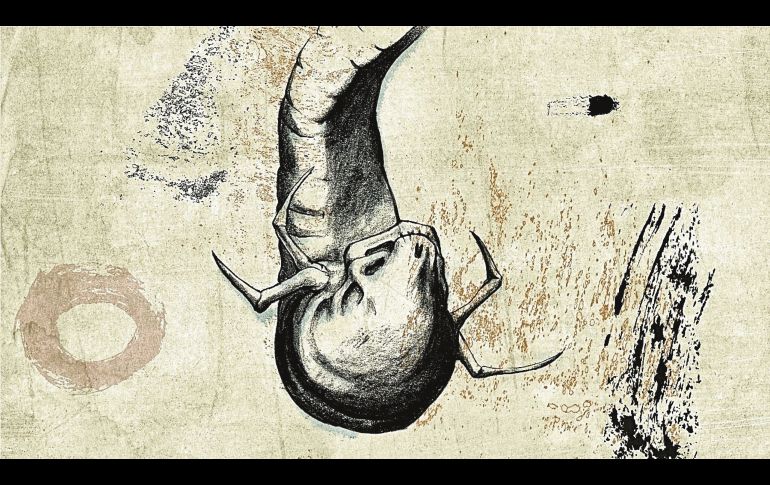 En el ‘Ojo’ del éxito