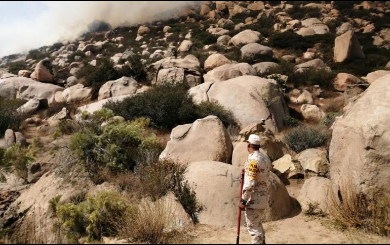 Son mil 210 los elementos que han sumado su fuerza de tarea para combatir el fuego en ese estado. TWITTER / @CNPC_MX
