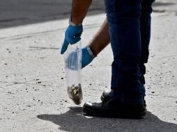 El titular del Ejecutivo reitera que su gobierno lleva una nueva estrategia para garantizar la paz, porque ya no hay guerra contra el narcotráfico. AFP / ARCHIVO