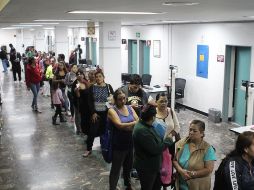 El documento de la Secretaría de Salud Federal sigue colocando a Jalisco en primer lugar por casos de dengue grave (841), muertes ocasionadas por el virus (20) y en casos probables (61 mil 119). EL INFORMADOR/ ARCHIVO