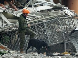 El terremoto de magnitud 6.6 y otro de 6.5 del martes y el jueves 29 de octubre pasado azotó las regiones de Davao y Soccsksargen. EFE / C. Ebrano